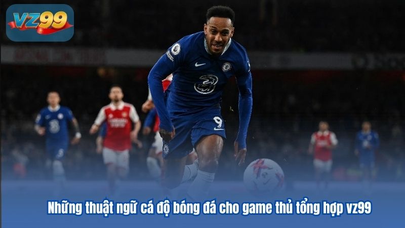 Những thuật ngữ cá độ bóng đá cho game thủ tổng hợp vz99